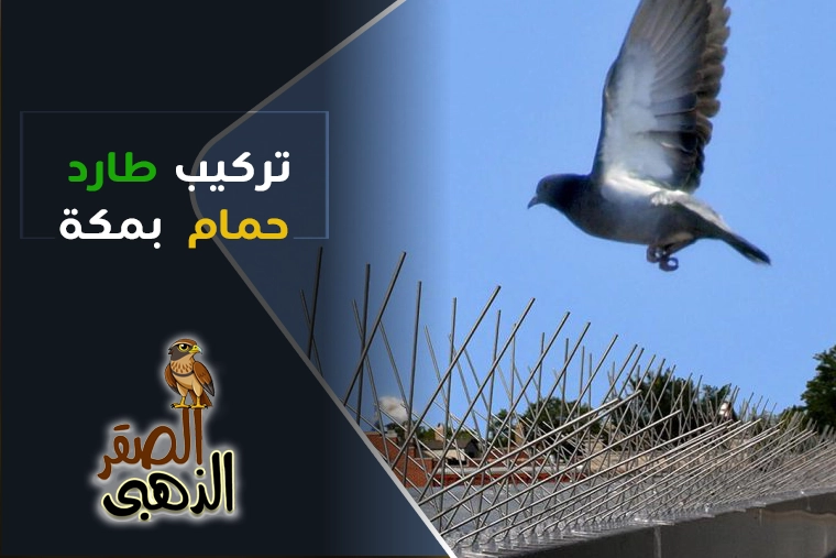 شركة تركيب طارد حمام بمكة